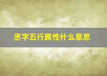 丞字五行属性什么意思