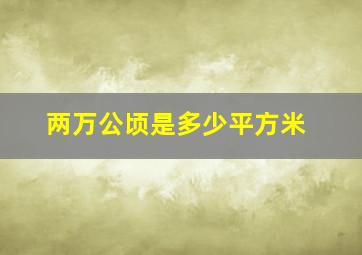 两万公顷是多少平方米