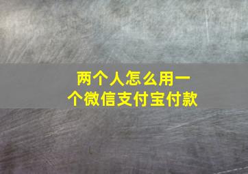 两个人怎么用一个微信支付宝付款