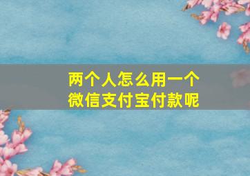 两个人怎么用一个微信支付宝付款呢