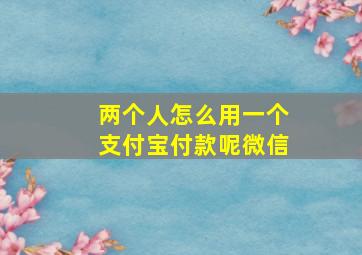 两个人怎么用一个支付宝付款呢微信