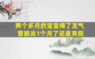 两个多月的宝宝得了支气管肺炎1个月了还是有痰