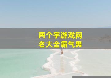 两个字游戏网名大全霸气男