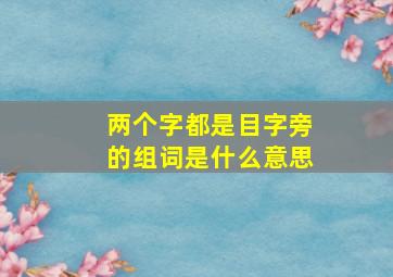 两个字都是目字旁的组词是什么意思