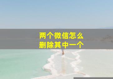 两个微信怎么删除其中一个