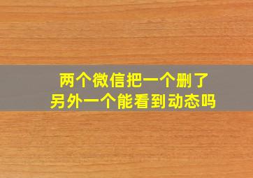 两个微信把一个删了另外一个能看到动态吗