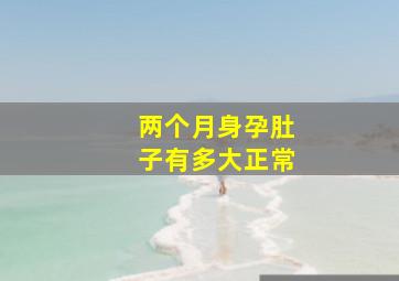 两个月身孕肚子有多大正常