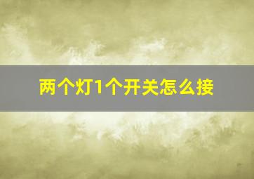 两个灯1个开关怎么接