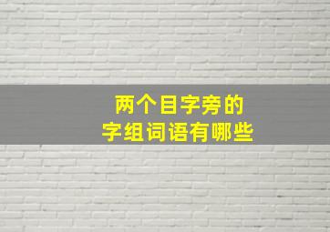 两个目字旁的字组词语有哪些