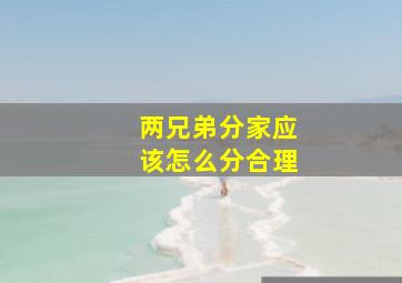 两兄弟分家应该怎么分合理