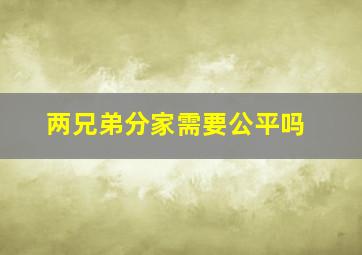 两兄弟分家需要公平吗