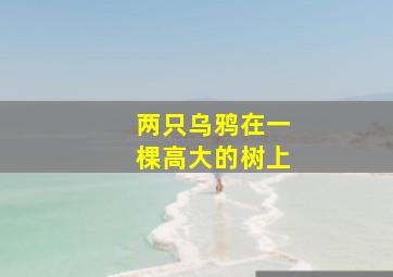 两只乌鸦在一棵高大的树上