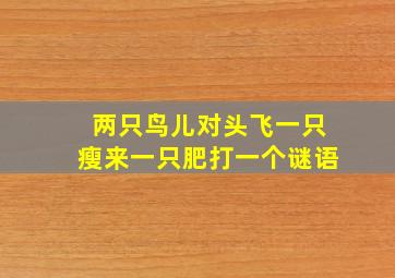 两只鸟儿对头飞一只瘦来一只肥打一个谜语