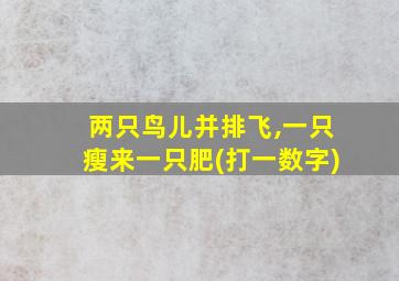 两只鸟儿并排飞,一只瘦来一只肥(打一数字)