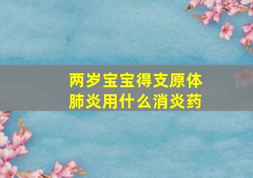 两岁宝宝得支原体肺炎用什么消炎药