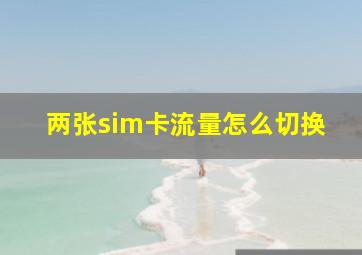 两张sim卡流量怎么切换