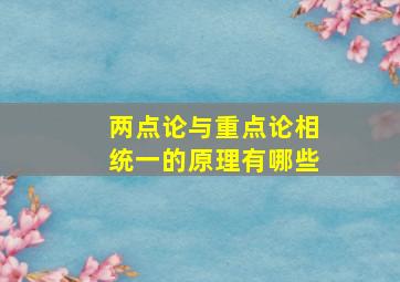 两点论与重点论相统一的原理有哪些