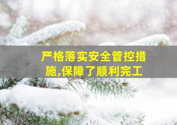 严格落实安全管控措施,保障了顺利完工