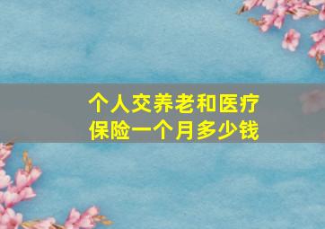 个人交养老和医疗保险一个月多少钱