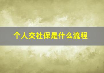 个人交社保是什么流程