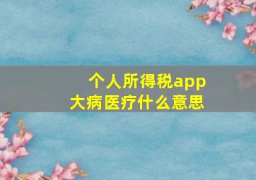 个人所得税app大病医疗什么意思