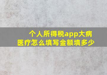 个人所得税app大病医疗怎么填写金额填多少