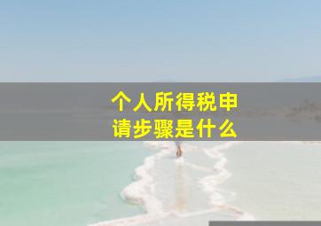 个人所得税申请步骤是什么