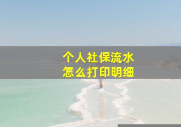 个人社保流水怎么打印明细