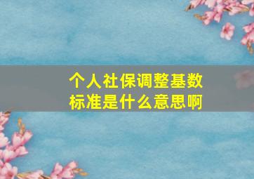 个人社保调整基数标准是什么意思啊