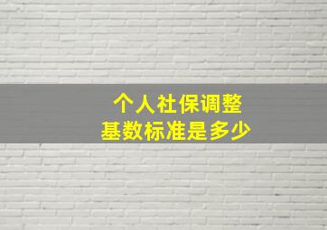 个人社保调整基数标准是多少