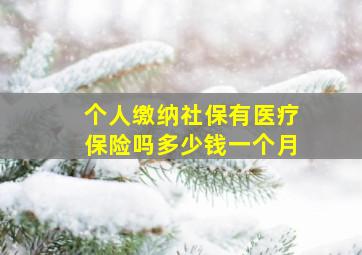 个人缴纳社保有医疗保险吗多少钱一个月