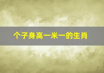 个子身高一米一的生肖