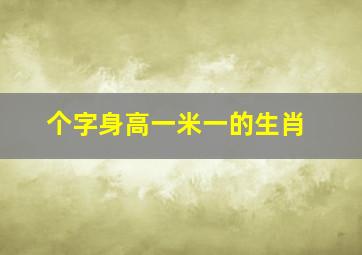 个字身高一米一的生肖