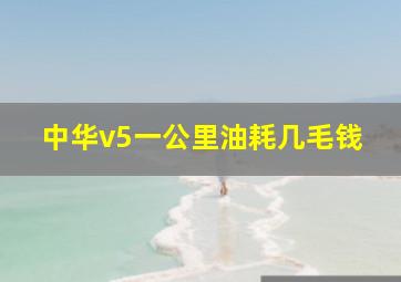 中华v5一公里油耗几毛钱