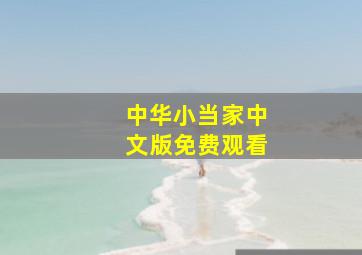 中华小当家中文版免费观看