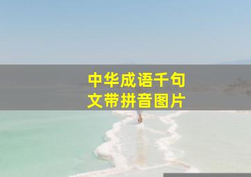 中华成语千句文带拼音图片