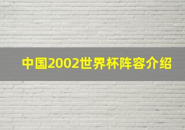 中国2002世界杯阵容介绍