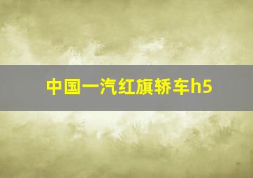 中国一汽红旗轿车h5