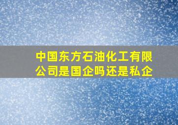 中国东方石油化工有限公司是国企吗还是私企