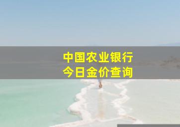 中国农业银行今日金价查询