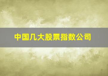 中国几大股票指数公司