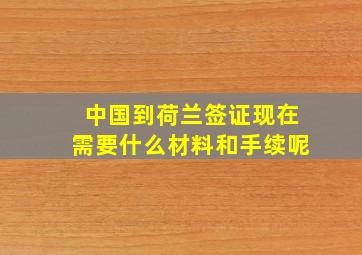 中国到荷兰签证现在需要什么材料和手续呢