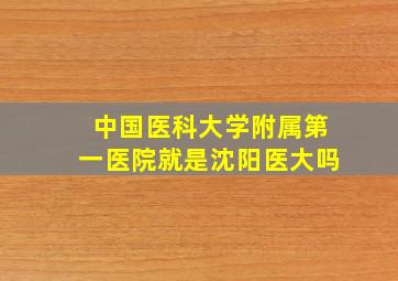 中国医科大学附属第一医院就是沈阳医大吗