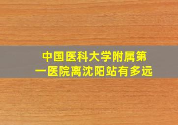 中国医科大学附属第一医院离沈阳站有多远