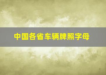 中国各省车辆牌照字母