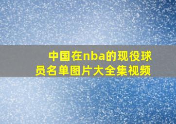 中国在nba的现役球员名单图片大全集视频