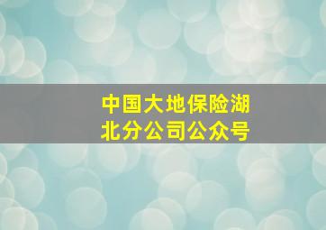 中国大地保险湖北分公司公众号