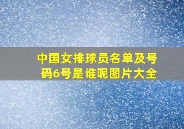 中国女排球员名单及号码6号是谁呢图片大全