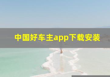 中国好车主app下载安装