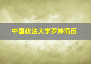 中国政法大学罗婷简历